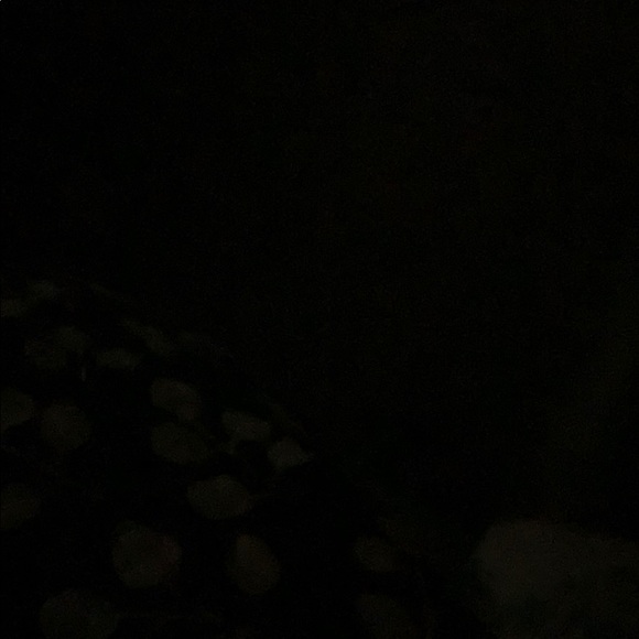 Meet your Posher, Stephanee - Picture 1 of 1